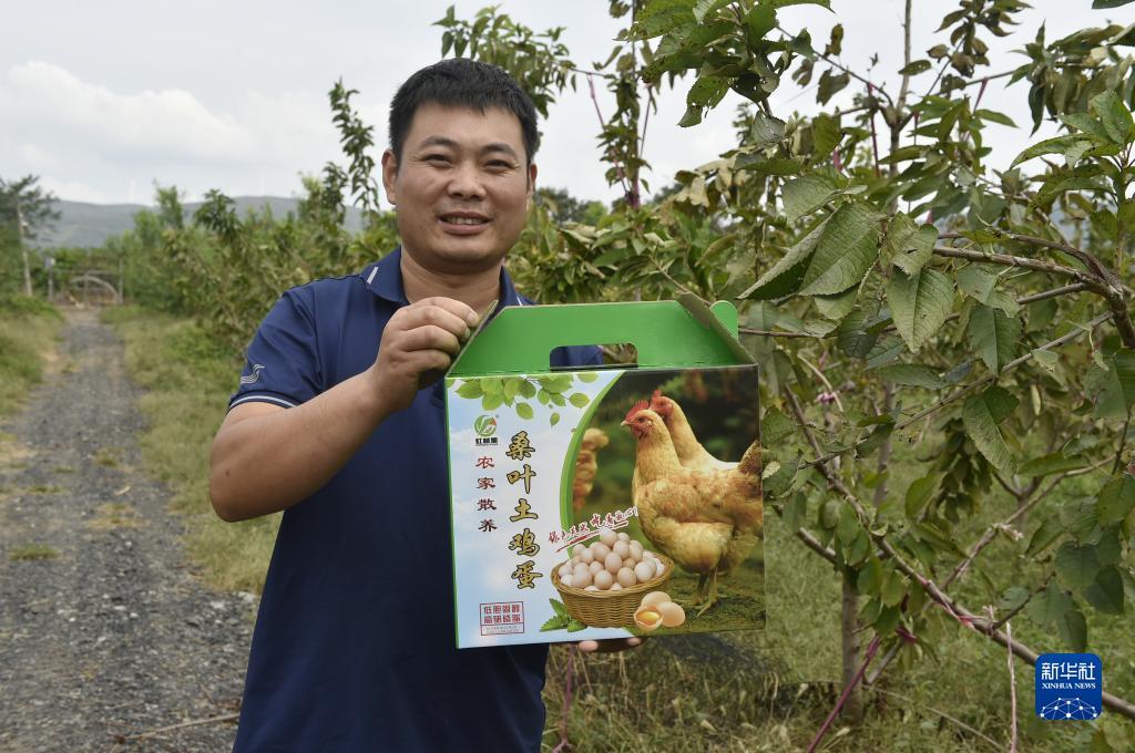 打鱼正版游戏